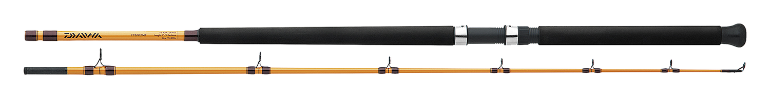 FT BOAT & SURF RODS
