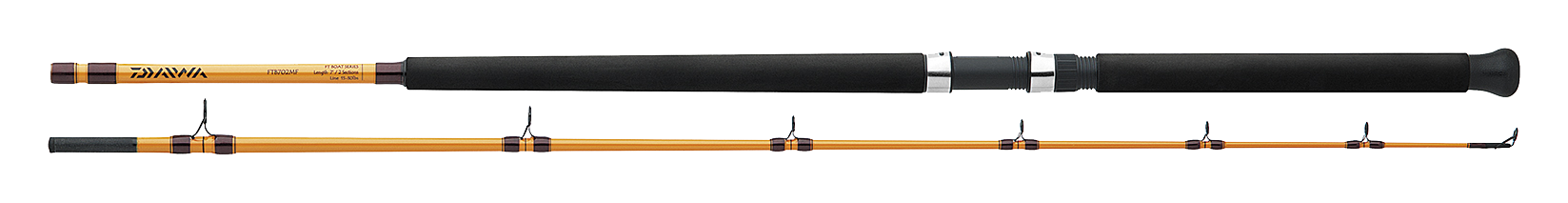 FT BOAT & SURF RODS