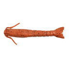 NEW PENNY FLECK (GSSHR3-NPFL) / 3 IN (8 CM)