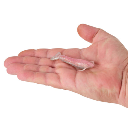 Berkley Gulp! 3 Inch Saltwater SHRIMP