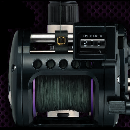 PROREX LWLC